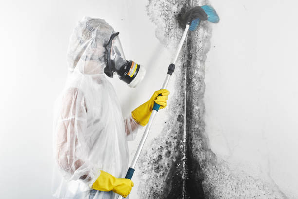 Best Residential Mold Inspection & Testing  in Bowdon, GA
