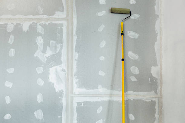 Best Biohazard Mold Removal  in Bowdon, GA