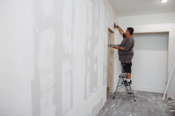 Best Attic Mold Removal  in Bowdon, GA