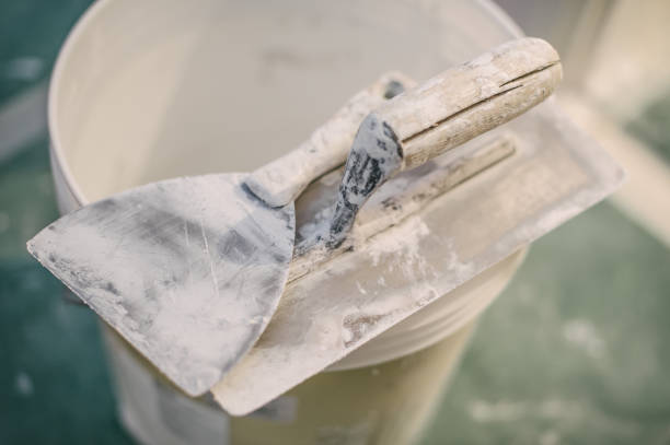 Best Water Damage & Mold Remediation  in Bowdon, GA