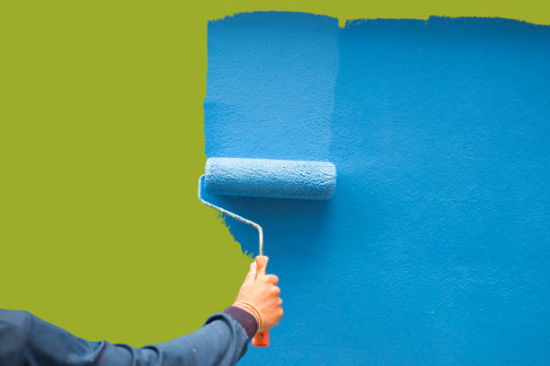 Best Black Mold Removal  in Bowdon, GA